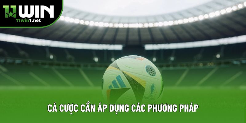 Cá cược cần áp dụng các phương pháp Cá cược cần áp dụng các phương pháp
