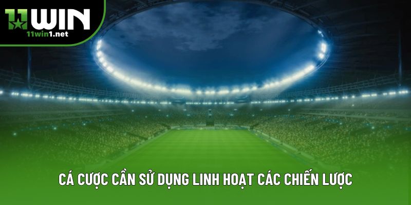 Cá cược cần sử dụng linh hoạt các chiến lược Cá cược cần sử dụng linh hoạt các chiến lược