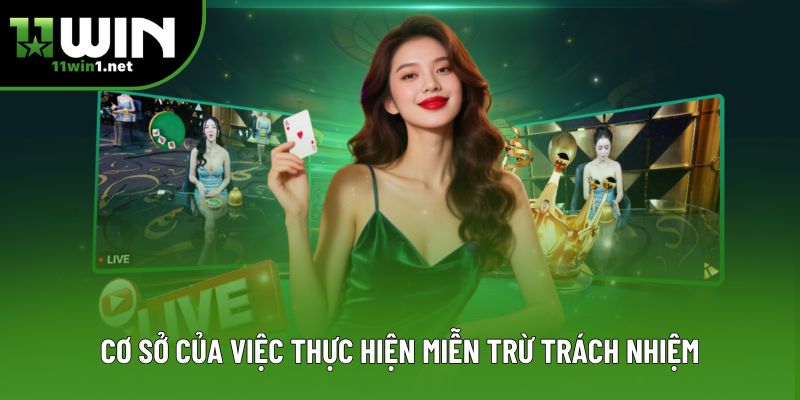 Cơ sở của việc thực hiện miễn trừ trách nhiệm Cơ sở của việc thực hiện miễn trừ trách nhiệm