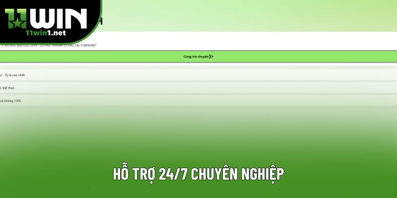 Hỗ trợ 24/7 chuyên nghiệp