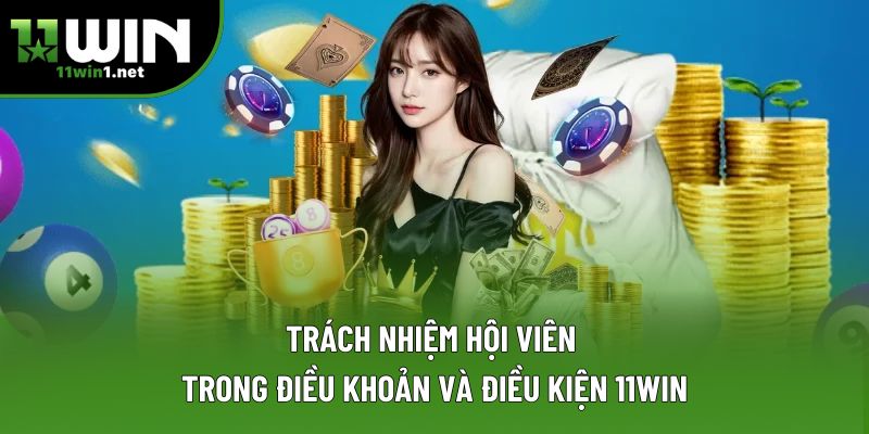 Trách nhiệm hội viên trong điều khoản và điều kiện 11win