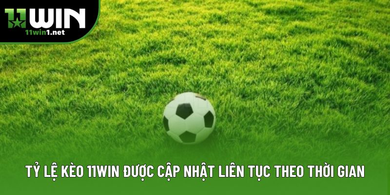 Tỷ lệ kèo 11win được cập nhật liên tục theo thời gian Tỷ lệ kèo 11win được cập nhật liên tục theo thời gian